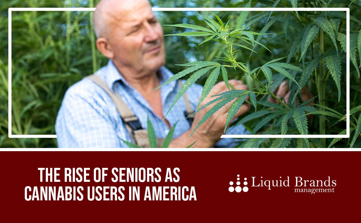 The Rise of Seniors as Cannabis Users in America Beverage Development