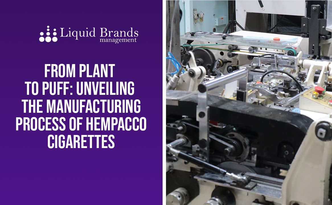 From Plant to Puff Unveiling the Manufacturing Process of Hempacco