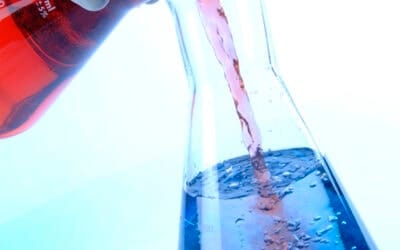 Beverage Development Partner